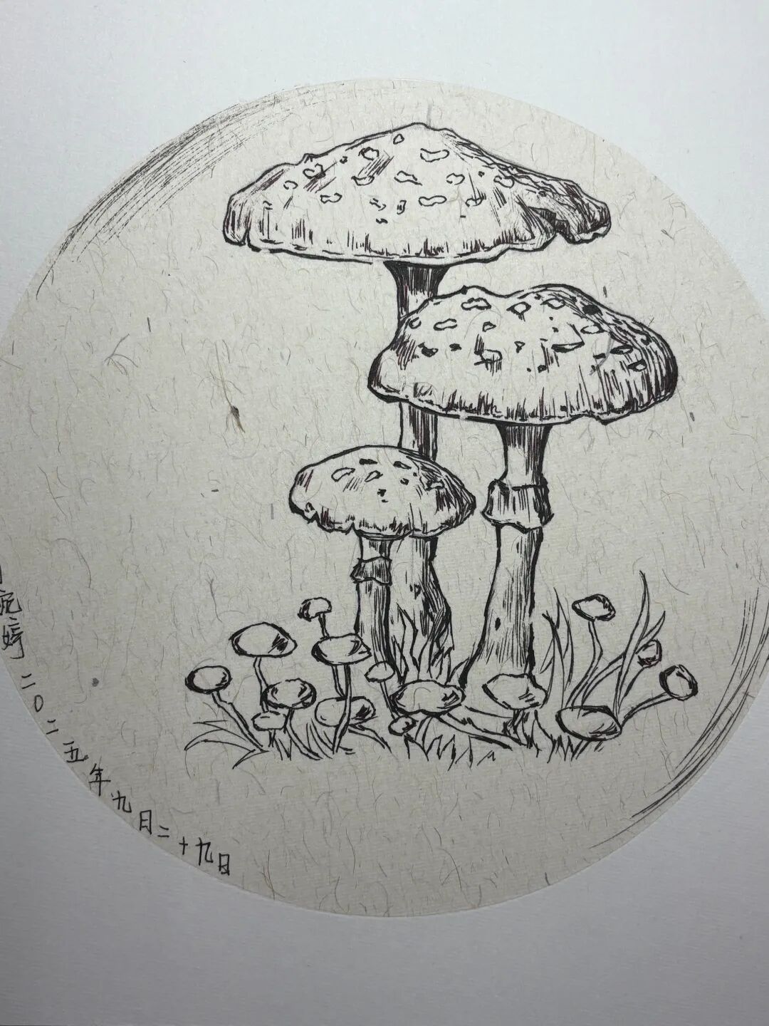 微信图片_20251020150256